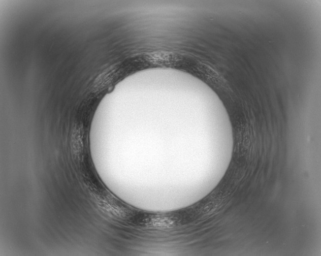 X0000060800702200512011733