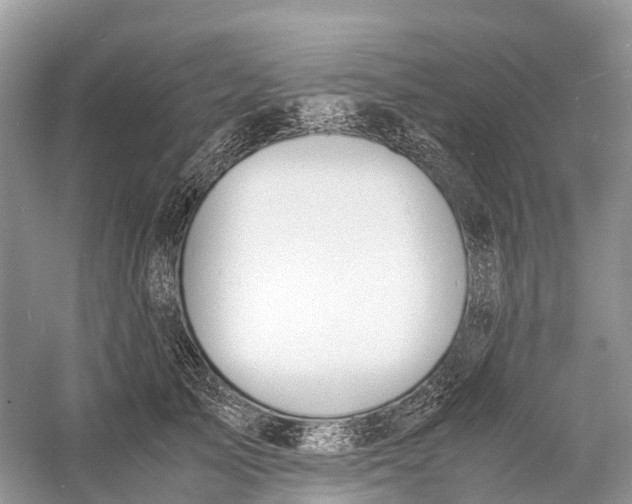 X0000060800705200512011733