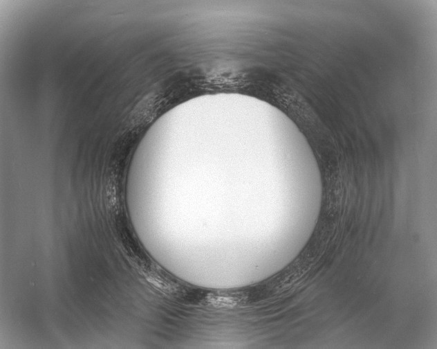 X0000060800706200512011733