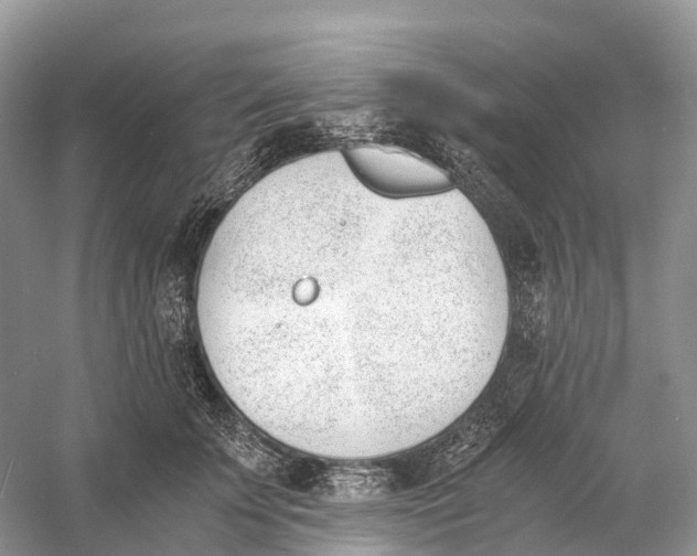 X0000060800707200512011733