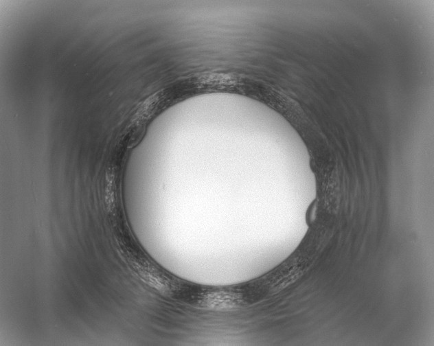 X0000060800708200512011733