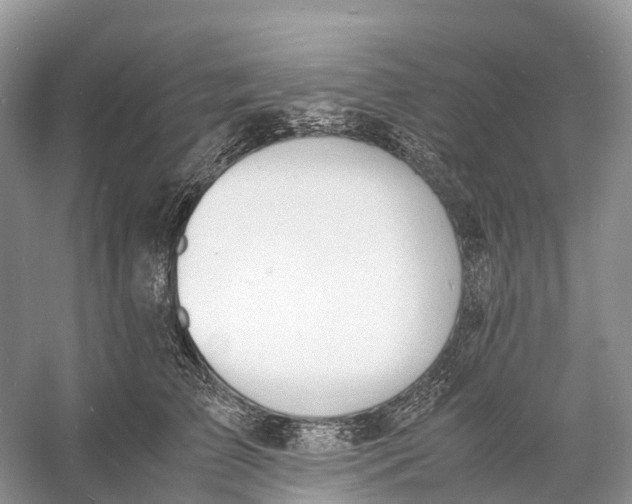 X0000060800709200512011733