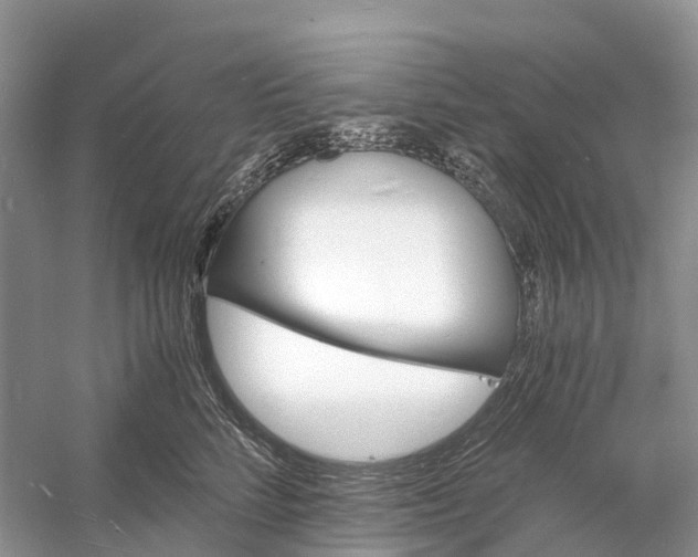 X0000060800712200512011733