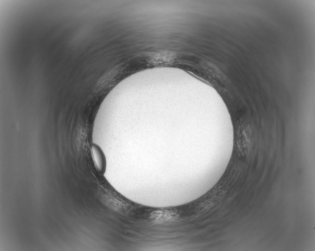 X0000060800714200512011733