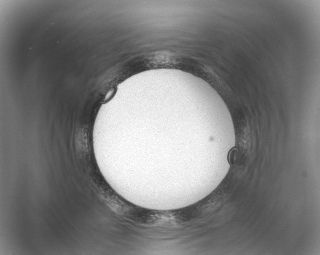 X0000060800715200512011733