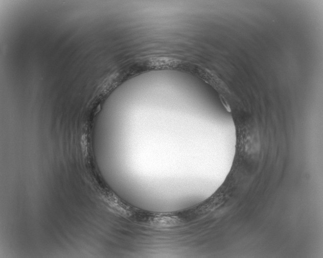 X0000060800716200512011733