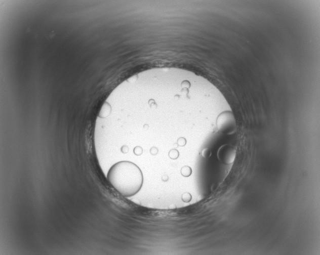 X0000060800719200512011733