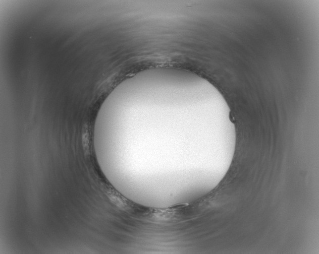 X0000060800720200512011733