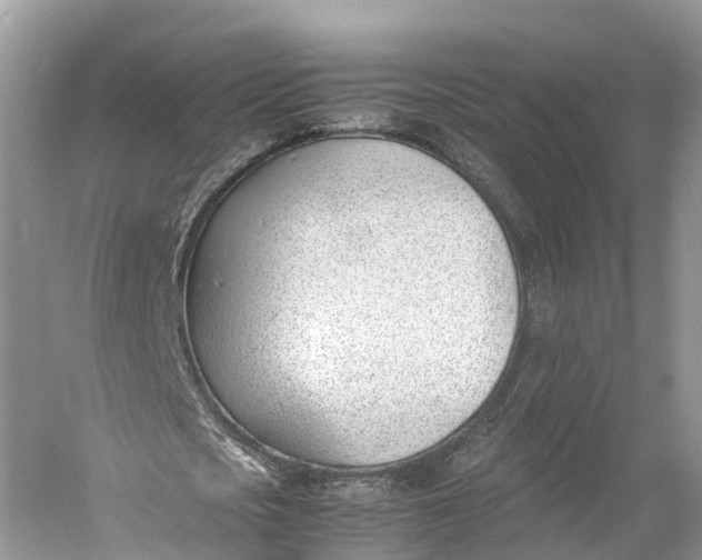 X0000060800721200512011732