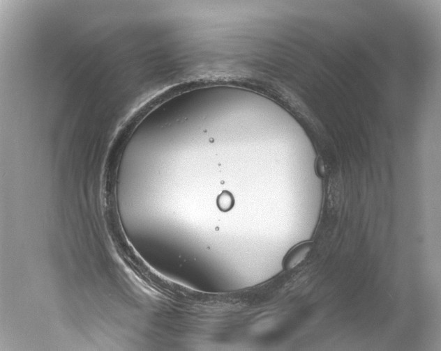 X0000060800722200512011732