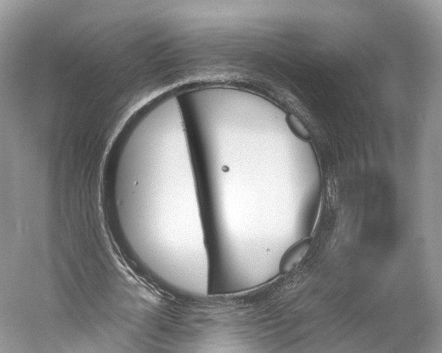 X0000060800724200512011732