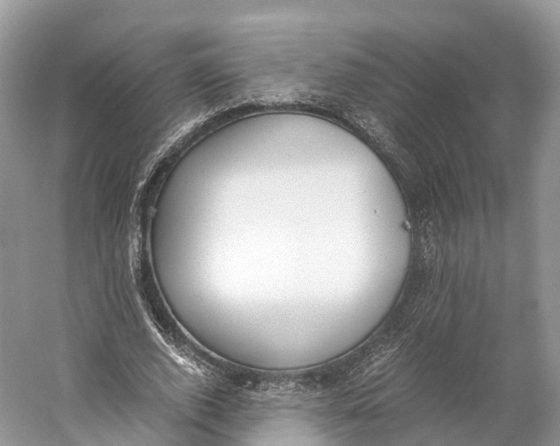 X0000060800728200512011732