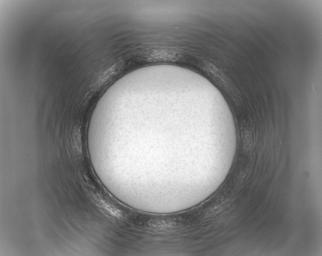 X0000060800729200512011732