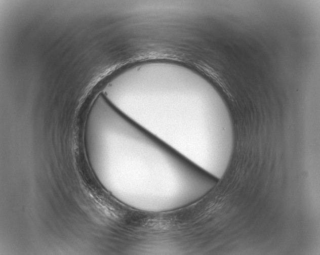 X0000060800732200512011732