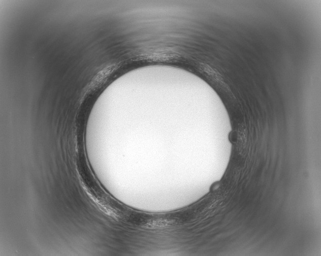 X0000060800734200512011732