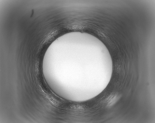 X0000060800735200512011732