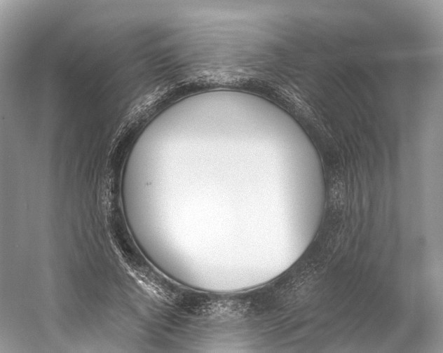 X0000060800736200512011732