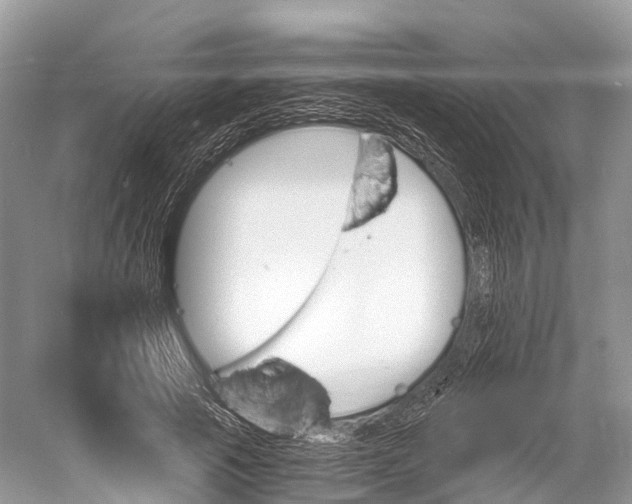 X0000060800737200512011732