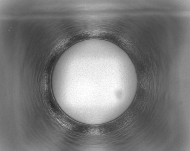 X0000060800740200512011732