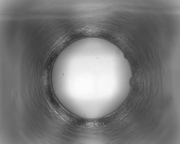 X0000060800744200512011732