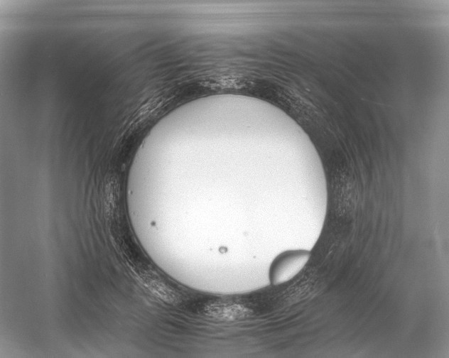 X0000060800747200512011732