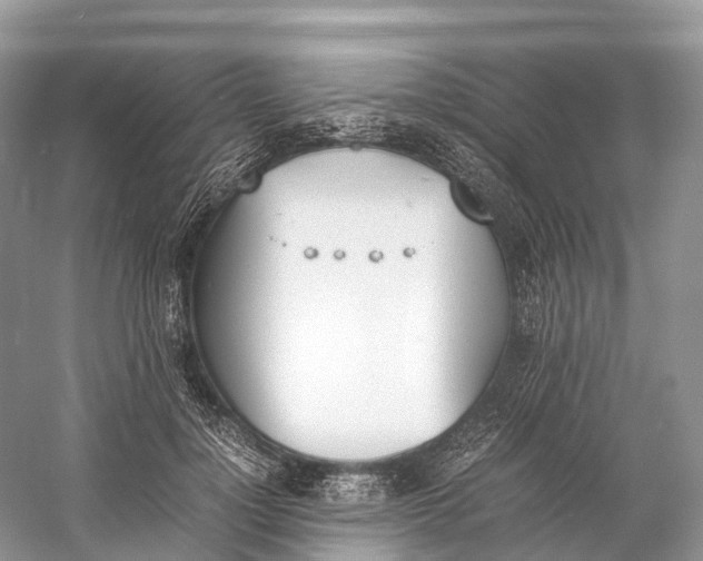 X0000060800748200512011732