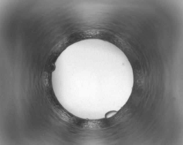 X0000060800758200512011732