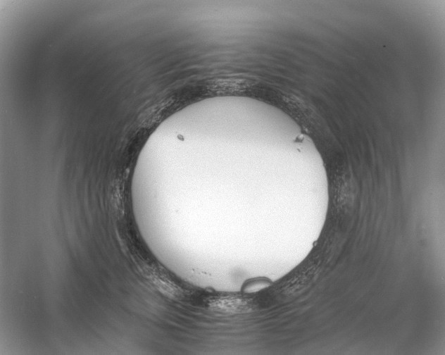 X0000060800759200512011732