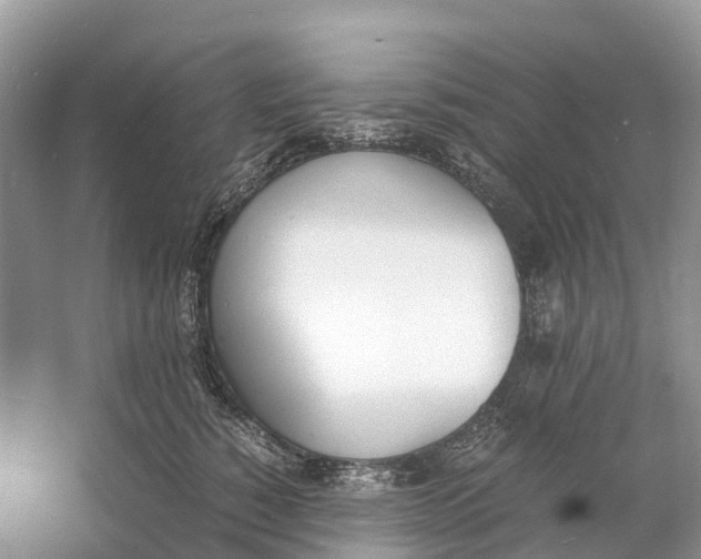 X0000060800760200512011732