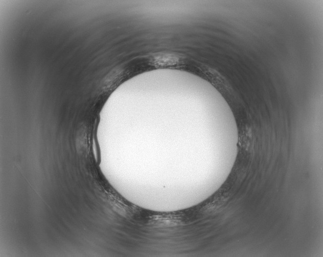 X0000060800763200512011733