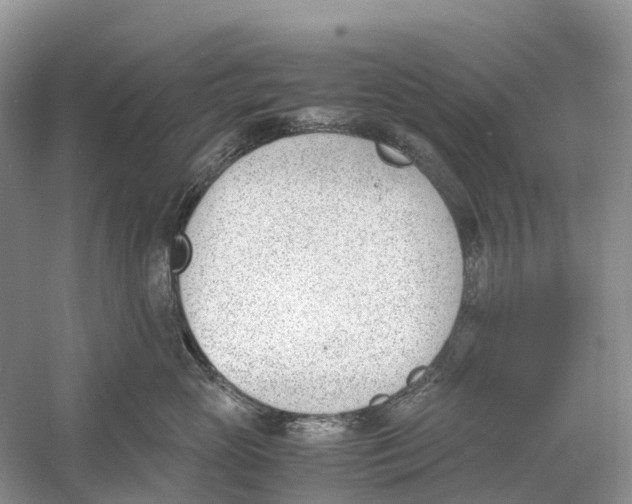 X0000060800765200512011733