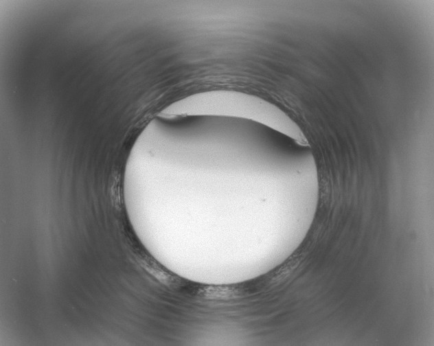 X0000060800766200512011733