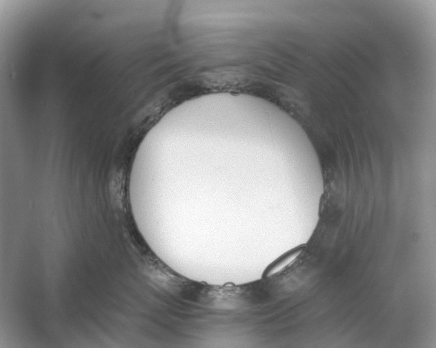 X0000060800767200512011733