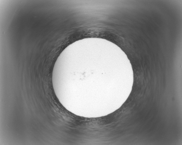 X0000060800769200512011732