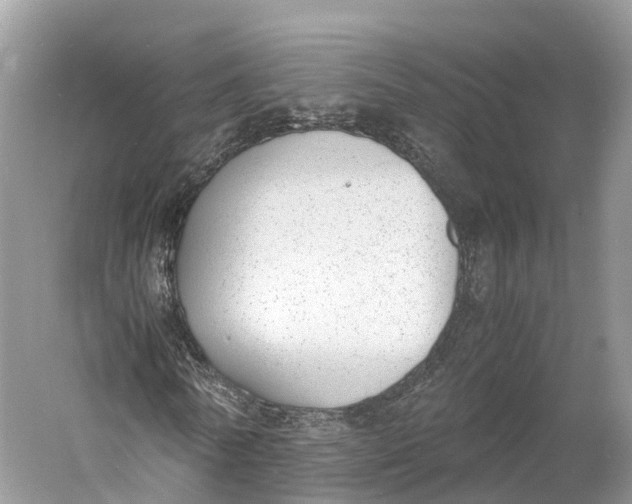 X0000060800770200512011732