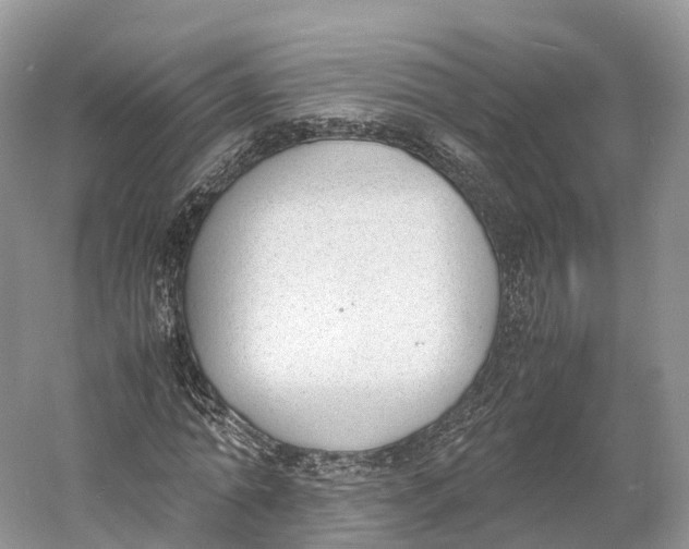 X0000060800774200512011732