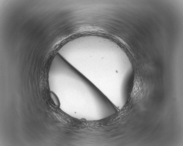 X0000060800775200512011732