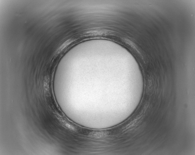 X0000060800778200512011732