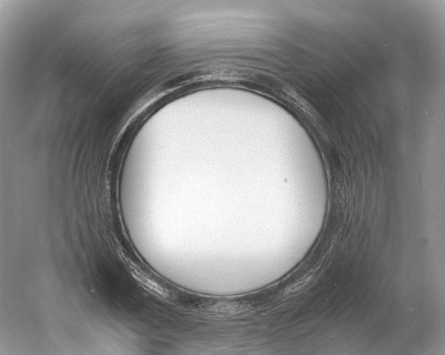 X0000060800779200512011732