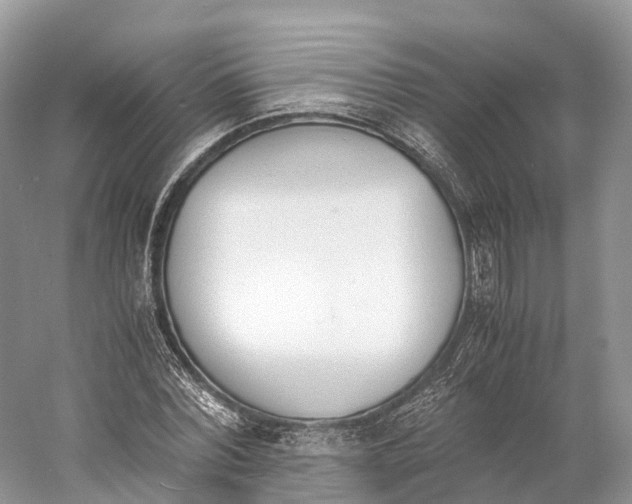 X0000060800780200512011732