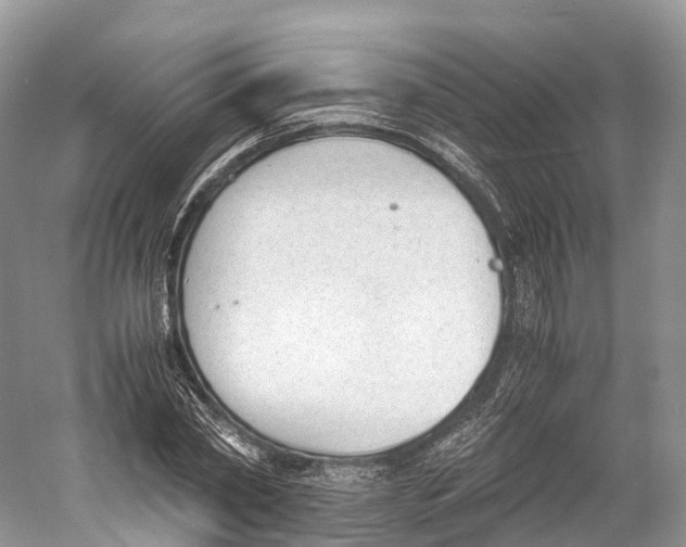 X0000060800782200512011732