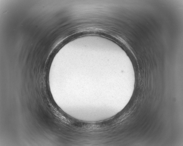 X0000060800783200512011732