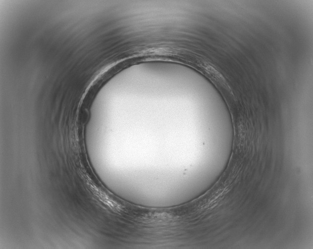 X0000060800784200512011732