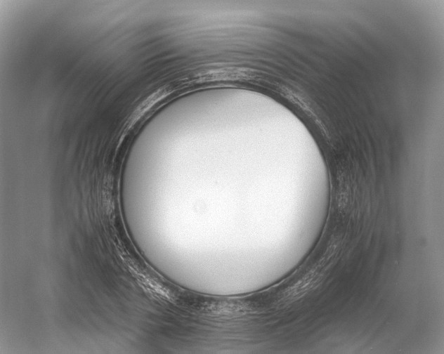 X0000060800786200512011732