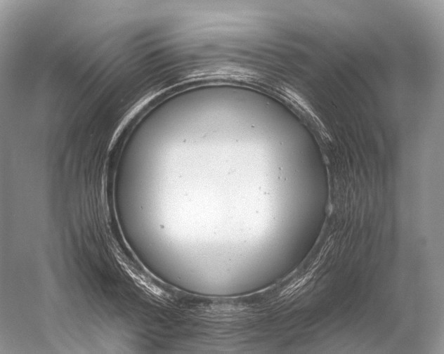 X0000060800788200512011731