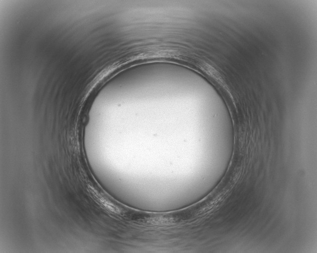 X0000060800789200512011731