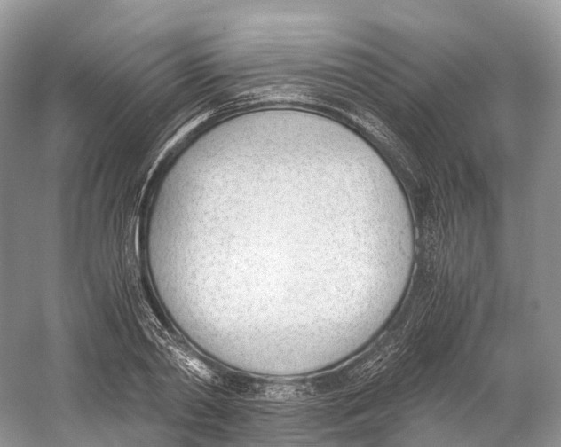 X0000060800790200512011731