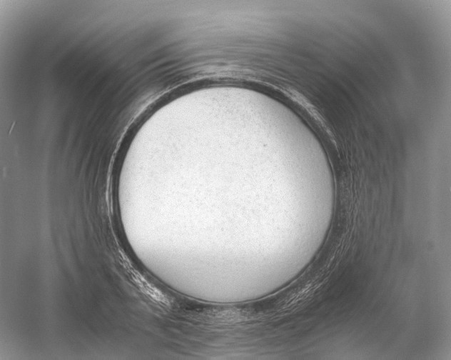 X0000060800791200512011731