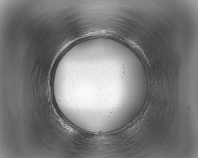 X0000060800792200512011731