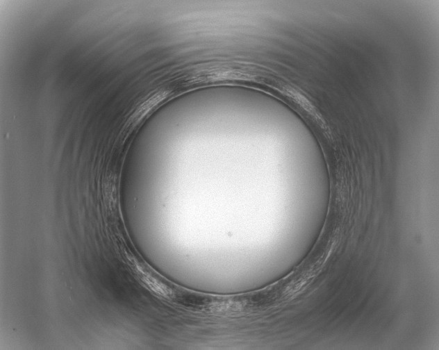 X0000060800793200512011731